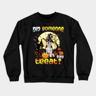 Black Chihuahua Did Someone Say Treat Happy Halloween Crewneck Sweatshirt